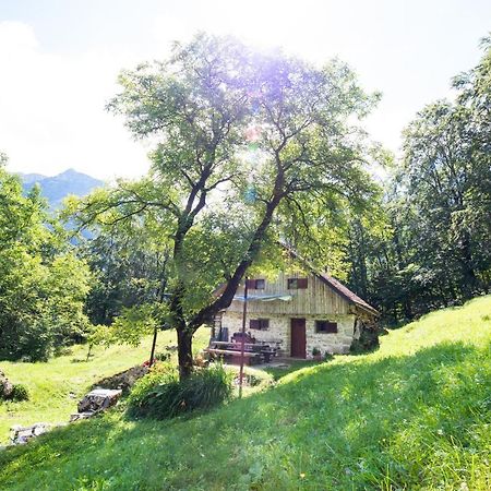 Miha Lodge - Mihcevo Plece Soča Eksteriør billede