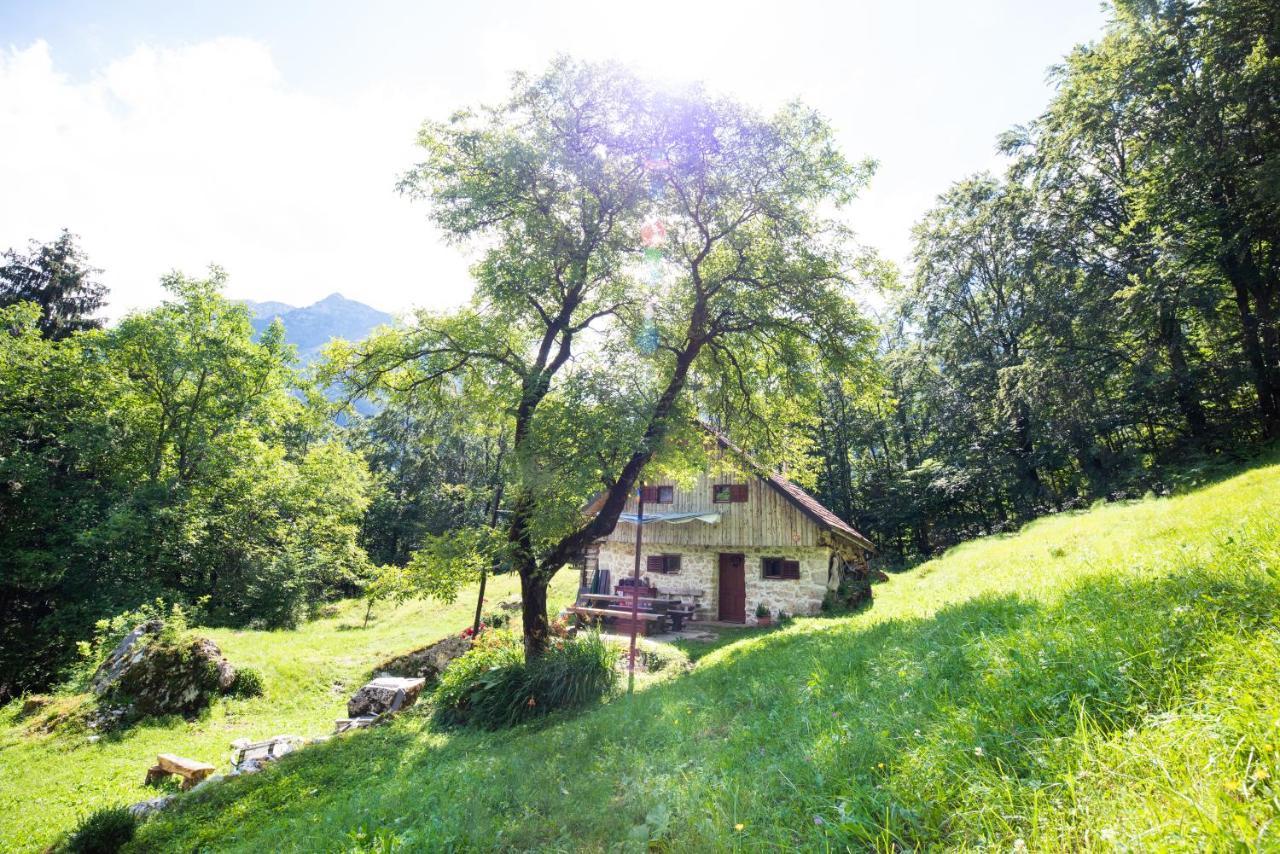 Miha Lodge - Mihcevo Plece Soča Eksteriør billede