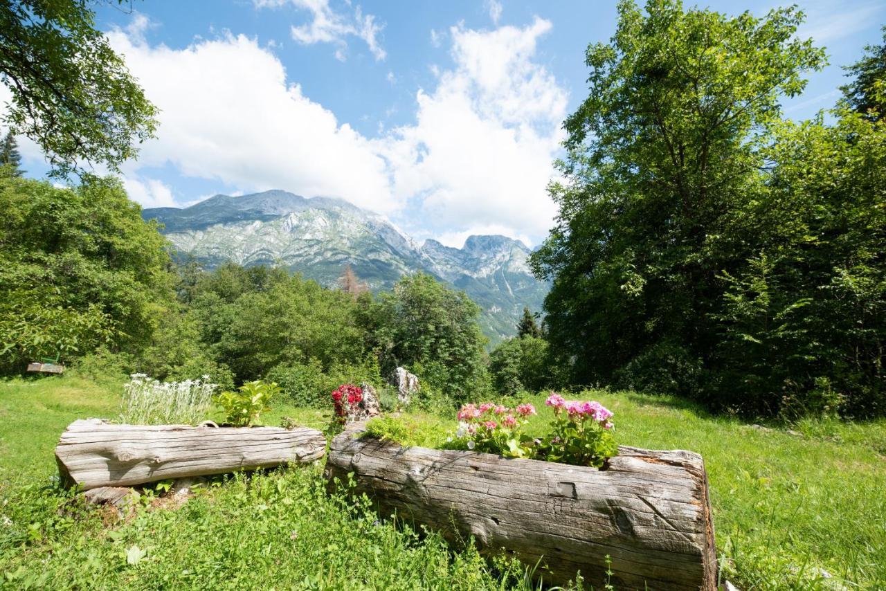 Miha Lodge - Mihcevo Plece Soča Eksteriør billede
